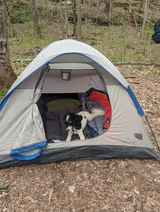 Three Springs Campground 1