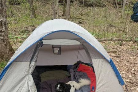 Three Springs Campground
