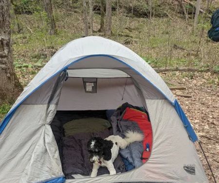 Three Springs Campground