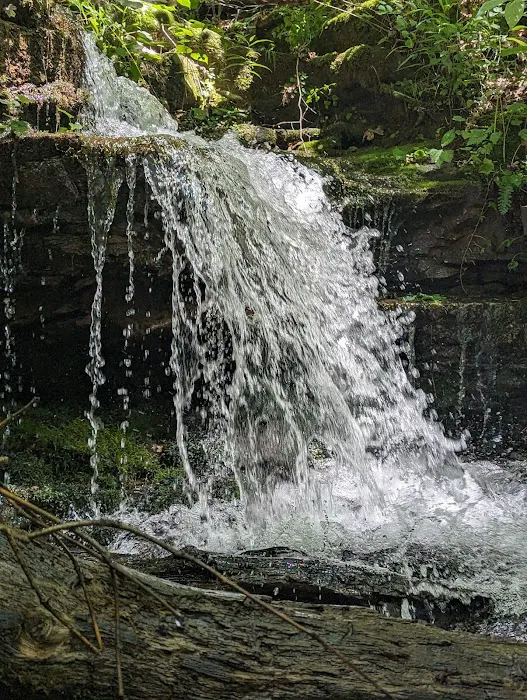 Collie Ridge Campground 7