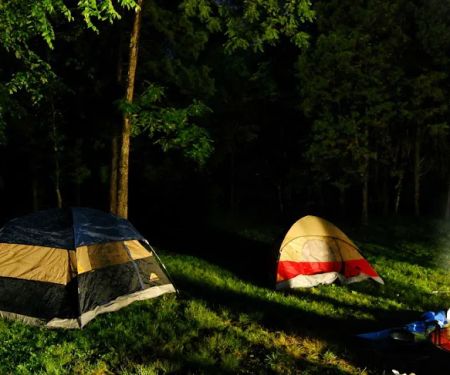 The Great Homestead Campground
