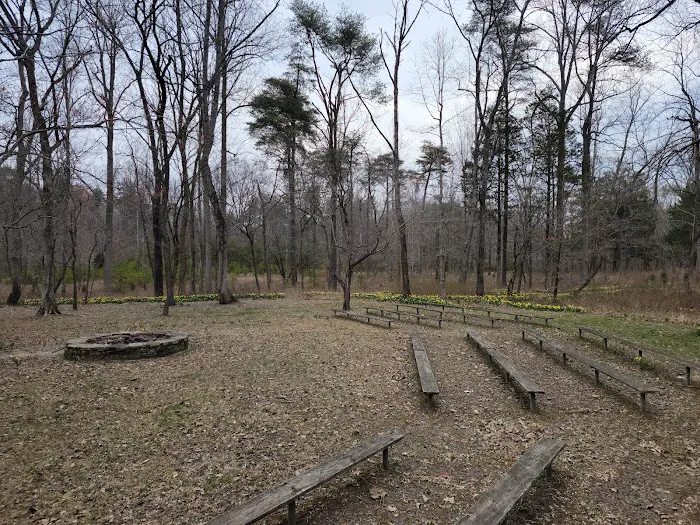 Maple Springs Group Campground 5