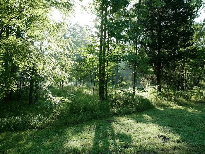 Maple Springs Group Campground 10