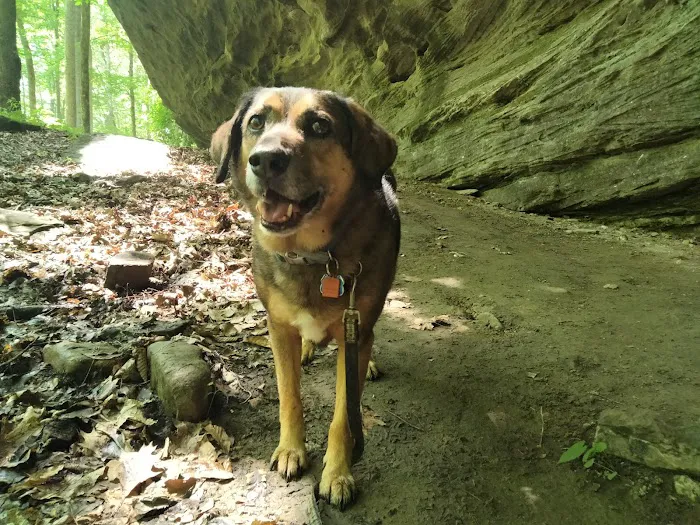 Bluffs Campground 2
