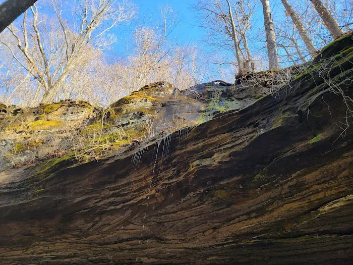 Bluffs Campground 7
