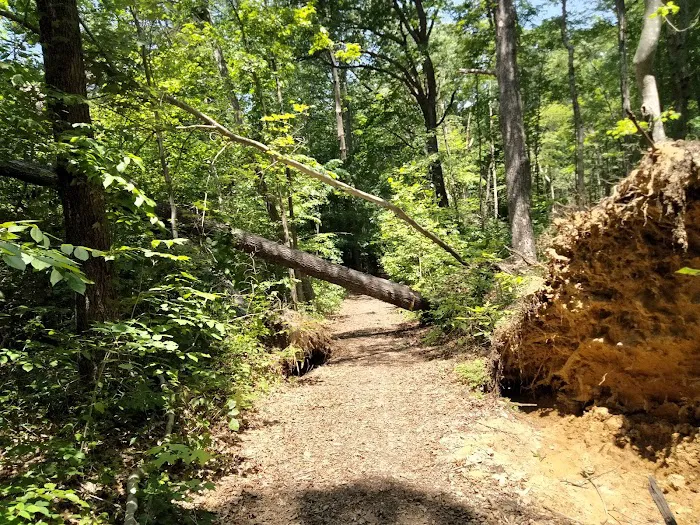 Bluffs Campground 3