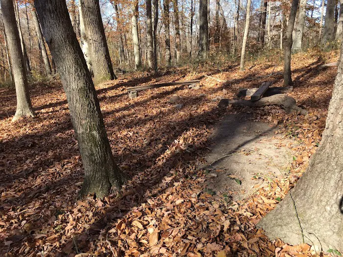 Sal Hollow Campground 3