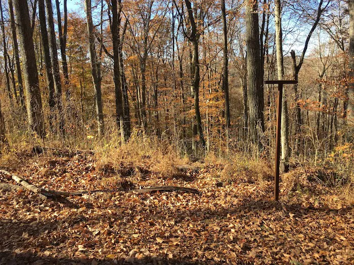 Sal Hollow Campground 1