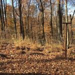Sal Hollow Campground