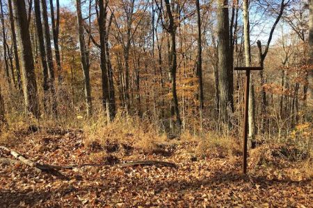 Sal Hollow Campground
