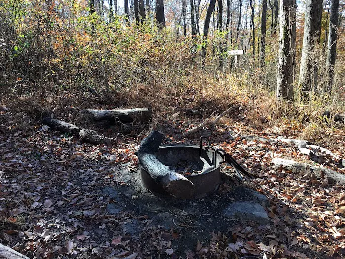 Sal Hollow Campground 2