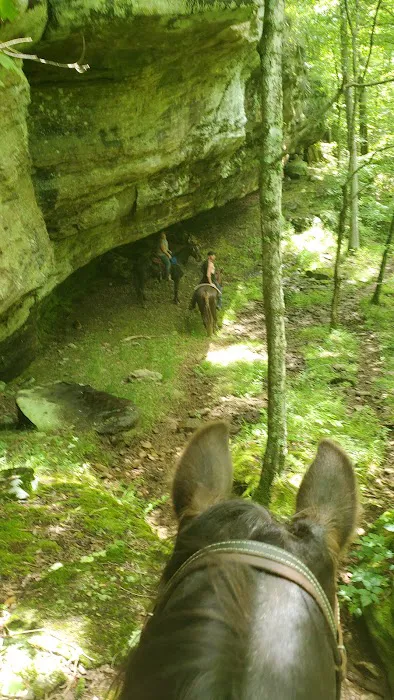 Bear Branch Campgrounds 4