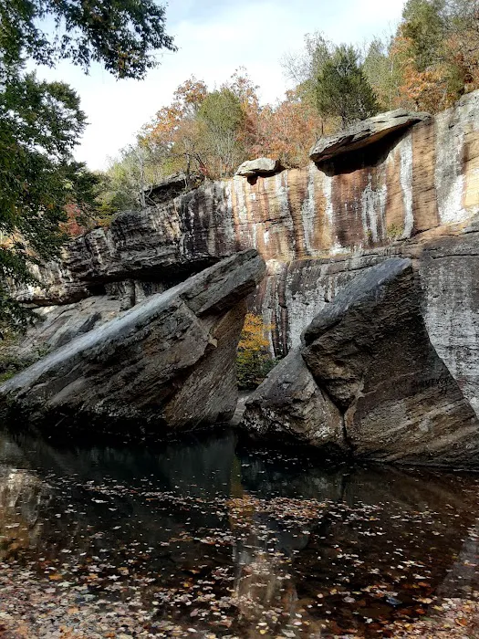 Redbud Campground 5