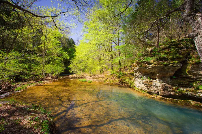 Redbud Campground 3