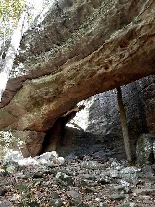 Redbud Campground 2