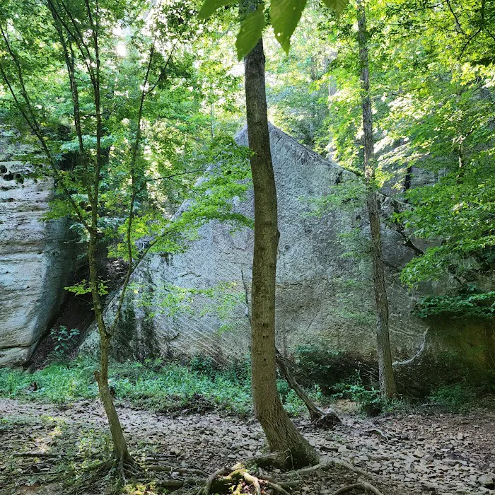 Redbud Campground 10