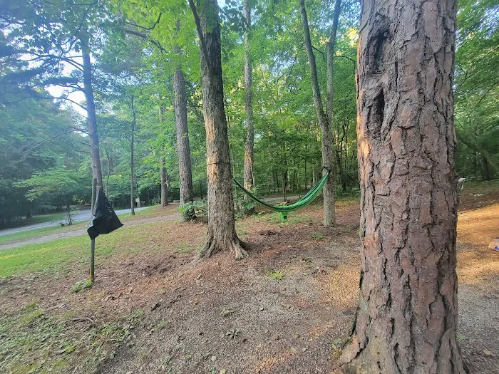 Redbud Campground 1