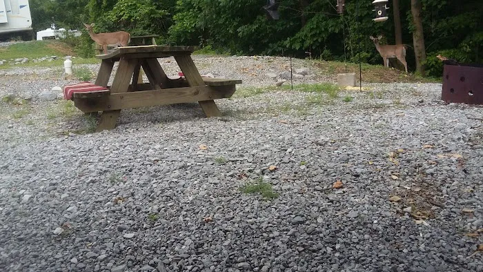 Larson Landing 7