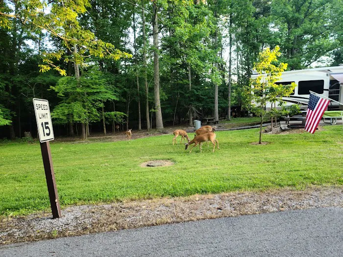 Canal Campground 10