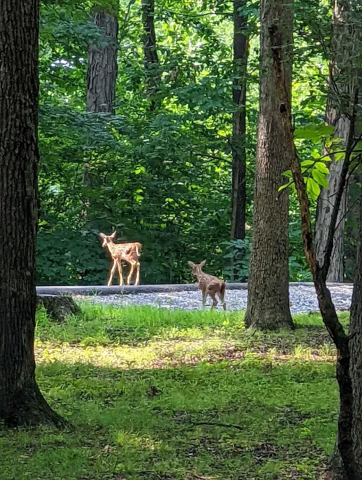 Canal Campground 6