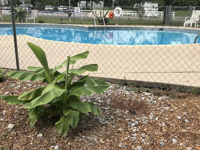 Outback RV Resort, Inc 4