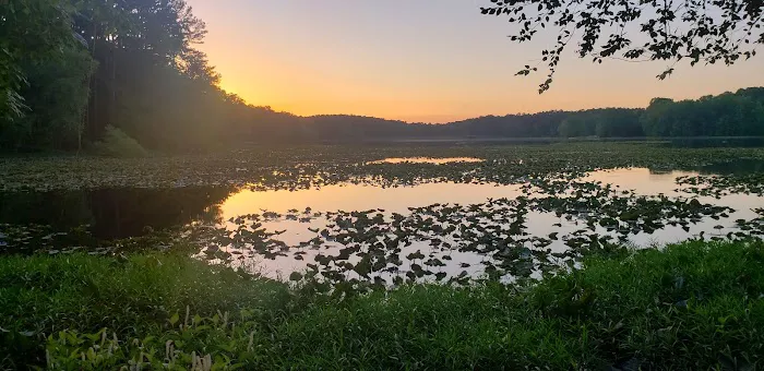 Lake Glendale 1