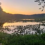 Lake Glendale