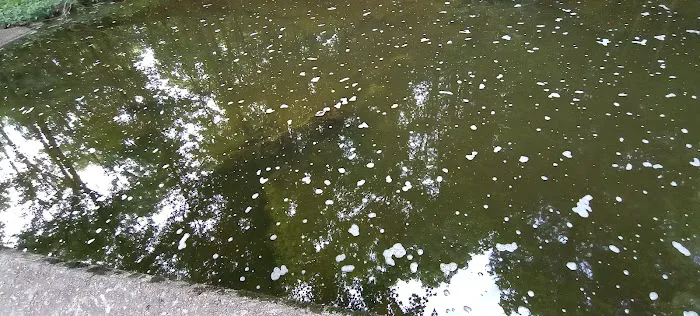 Lake Glendale 5