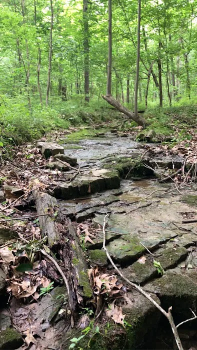 Lake Glendale 8