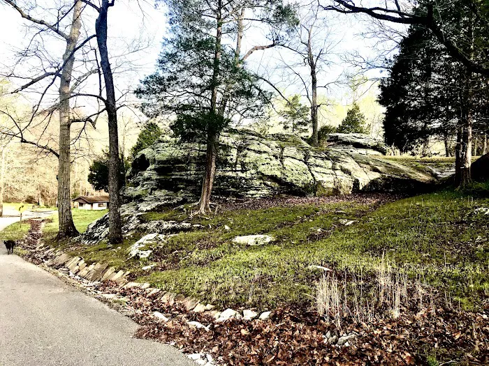 Dixon Springs State Park Campground 9