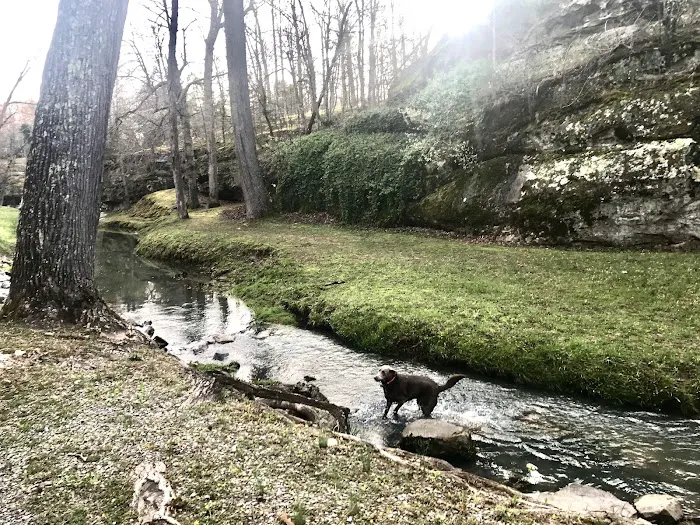 Dixon Springs State Park Campground 8