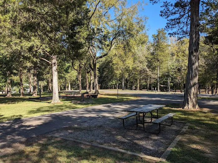Dixon Springs State Park Campground 5