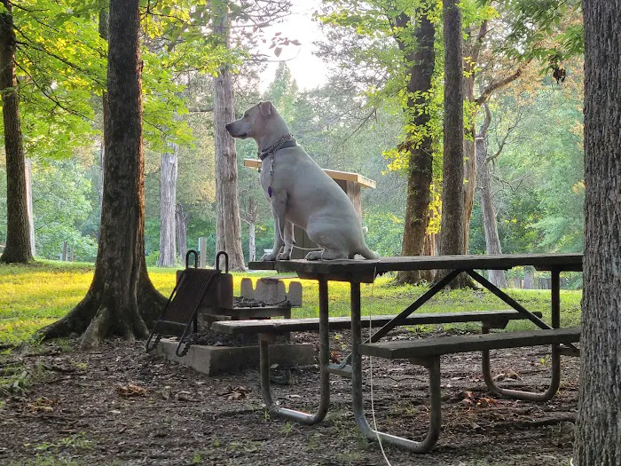 Dixon Springs State Park Campground 7