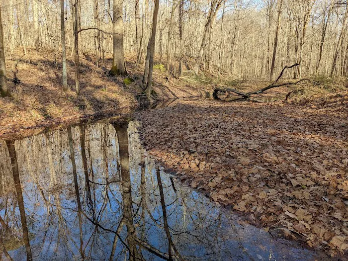 Lake Glendale Recreation Area 4
