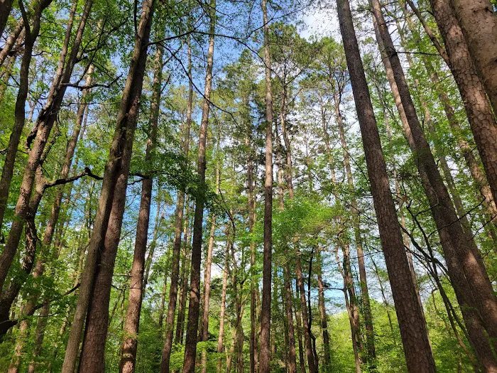 Oak Point Campground 4