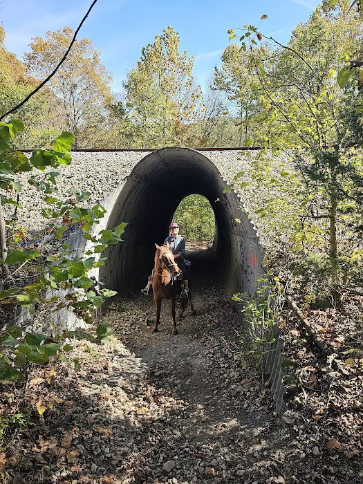 Bay Creek Ranch Campground 6