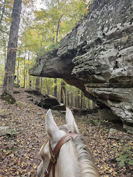 Bay Creek Ranch Campground 3