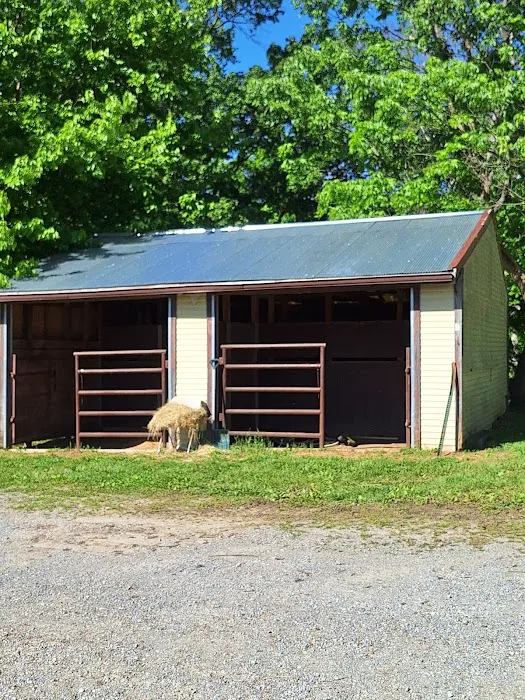Bay Creek Ranch Campground 10