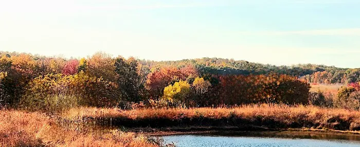 Pennant Bar Openland - Shawnee National Forest 3