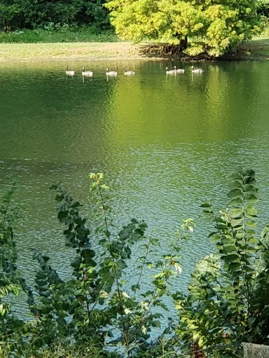 Fern Lake Campground 8