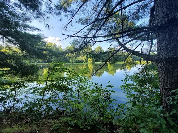 Fern Lake Campground 5