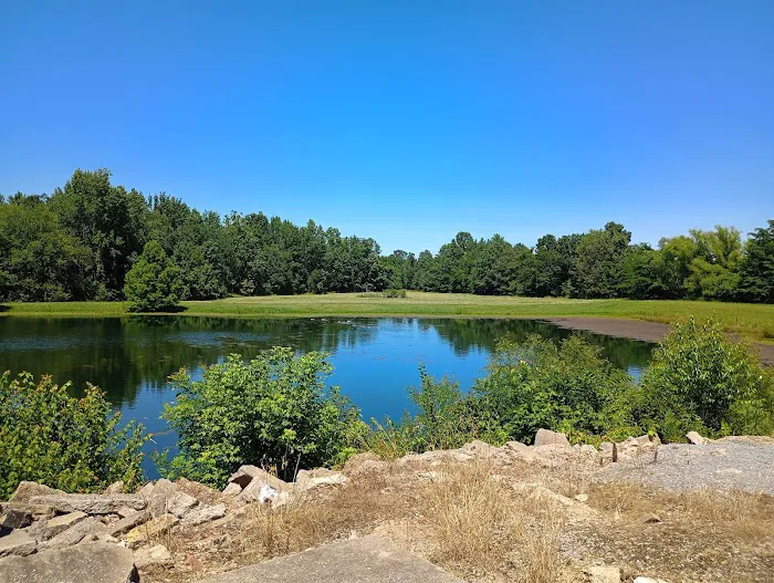Fern Lake Campground 2