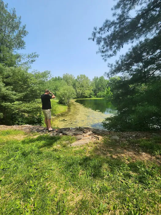Fern Lake Campground 6