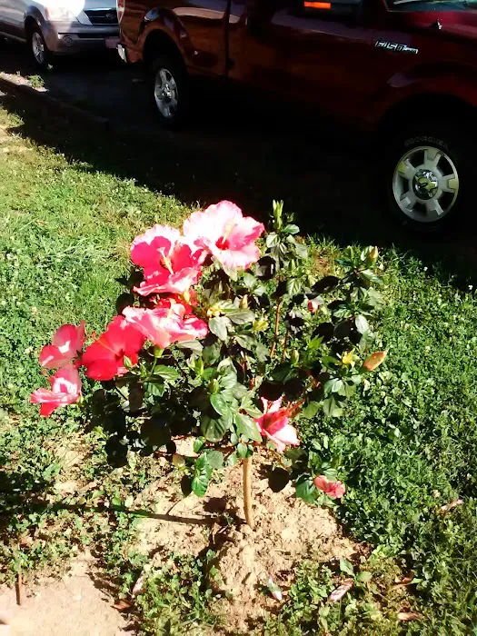 Southwood Pointe Mobile Home Park 8