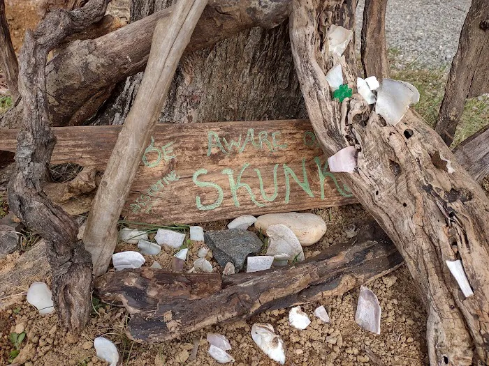 Twin Lakes Camp 4