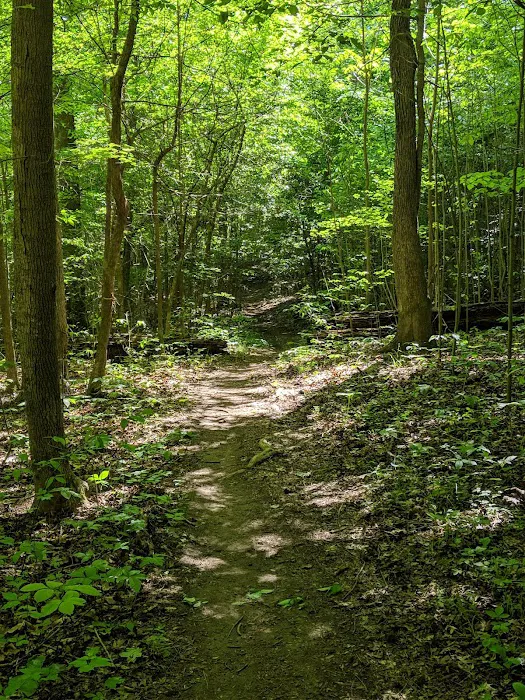 Twin Lakes Camp 1