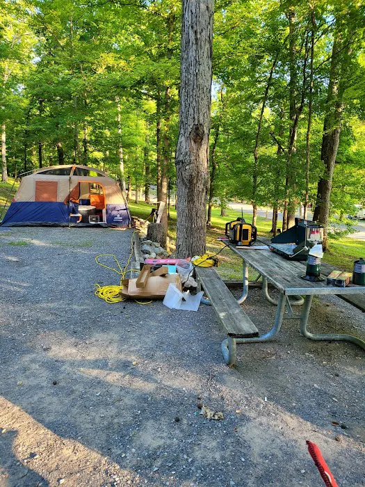 Hillman Ferry Campground 6