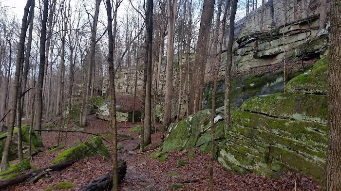 Jackson Falls 4