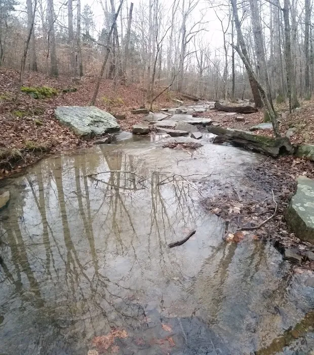 Jackson Falls 6