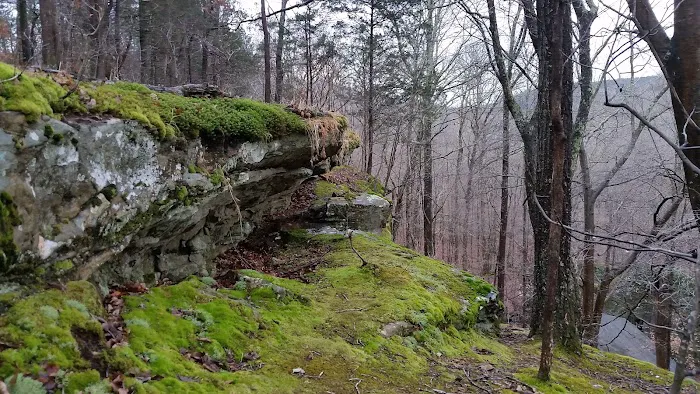 Jackson Falls 5